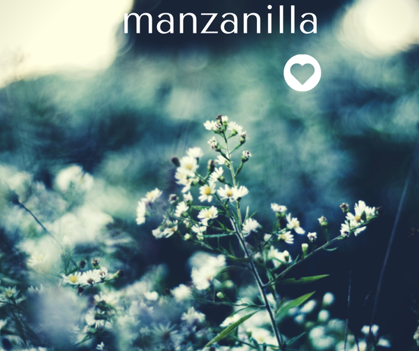 Manzanilla Cultivo Orgánico
