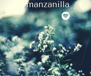 MANZANILLA